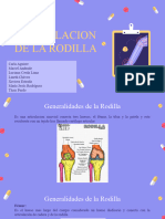 Exposicion Rodilla