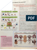 Nutricion Animal Texto Libro 1BAC_0