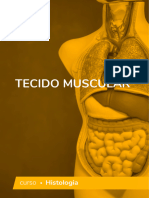 Tecido Muscular