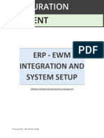 ERP-EWM Integration and System Setup
