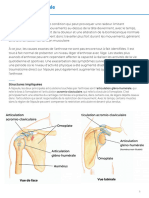 Arthrose de L'épaule