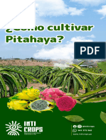 EBOOK - Cultivo Pitahaya