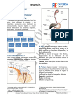 Biologia 2024-Ii