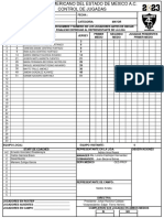 FORMATO CONTROL Flag MAYOR 2023