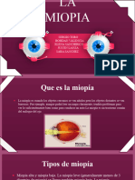 Eye Anatomy Minitheme