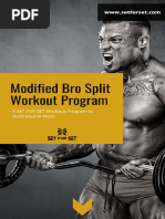 SFS Modified Bro Split Workout Program