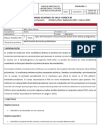 Identificación de Cocaína y Marihuana