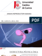Anatomía de Aparato Reproductor Femenino
