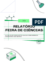 Relatório - Feira de Ciências