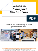 L5 Transport Mechanisms