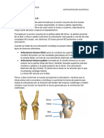 Anatomía de Rodilla