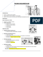 Cir 1.7 - Trauma Raquimedular