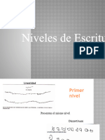 Literatura - Niveles de Escritura