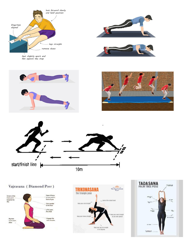 Physical Education File | PDF