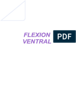 Flexion Ventral