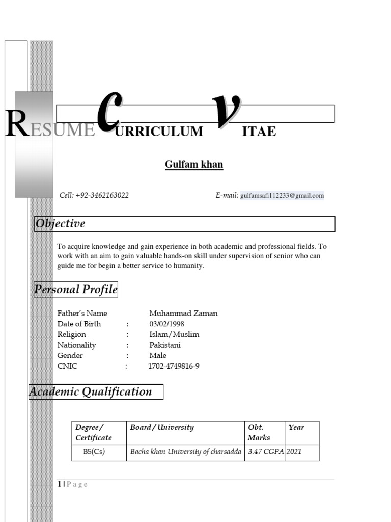 Advance Resume CV | Download Free PDF | Information Technology | Computing