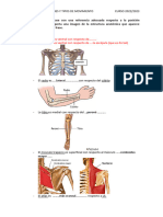 Practica 1 Anatomia
