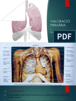 Valoració Primària B