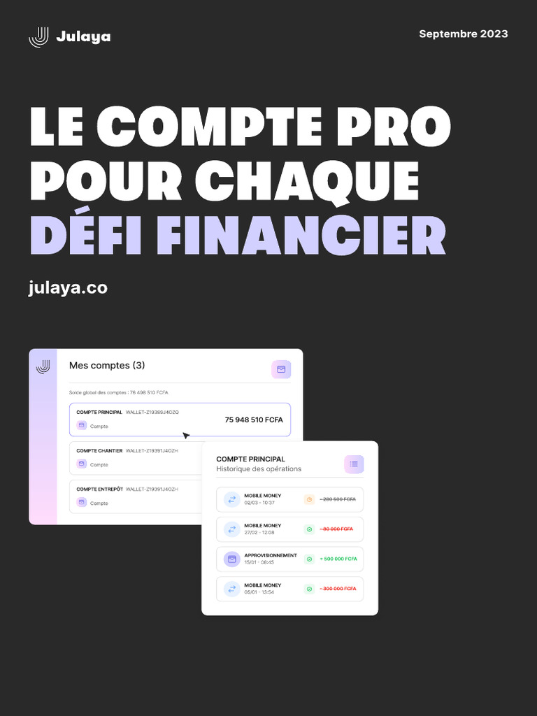 Compte Pro Julaya : Gestion Financière Simplifiée | PDF | Banques ...