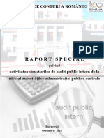 Raport Special Audit Intern