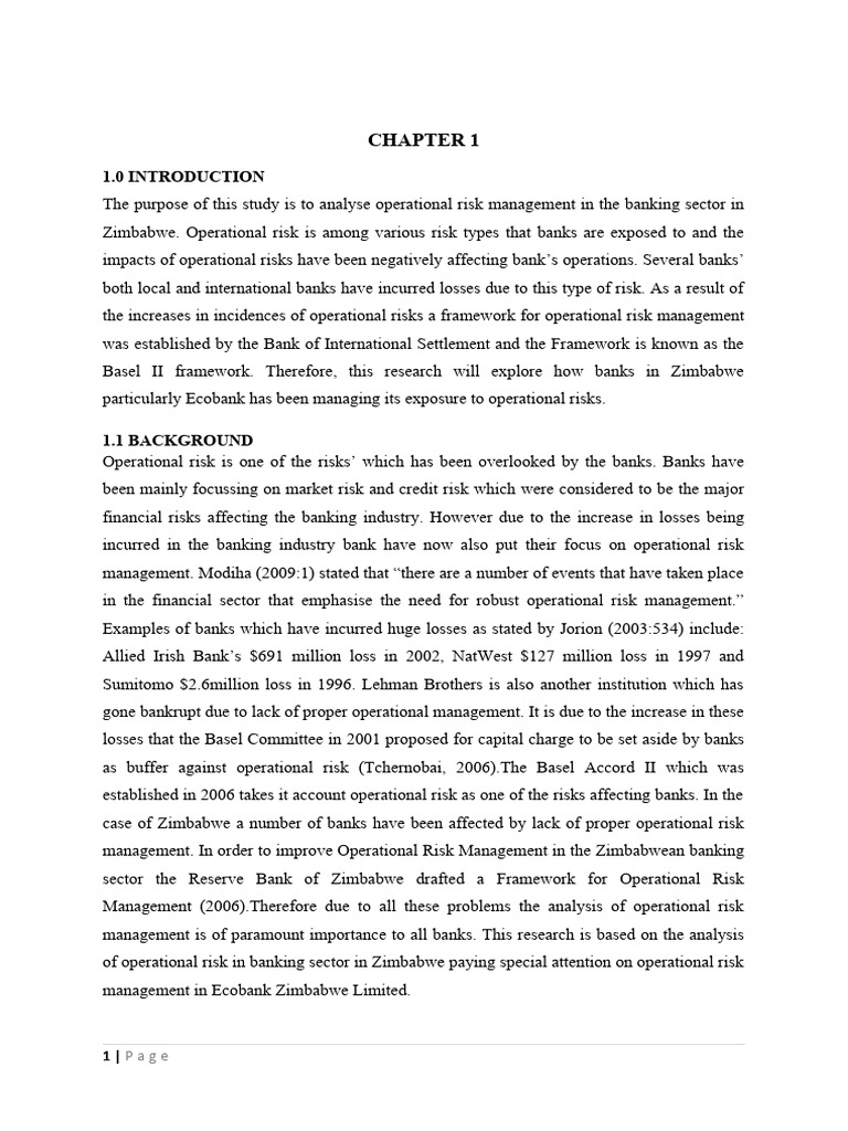 Operational Risk Management in Zimbabwe | PDF