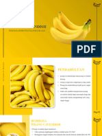 Pisang Cavendish - Asisten II