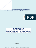 Derecho Procesal Laboral I1
