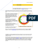 La Celula en Division PDF Alumnos