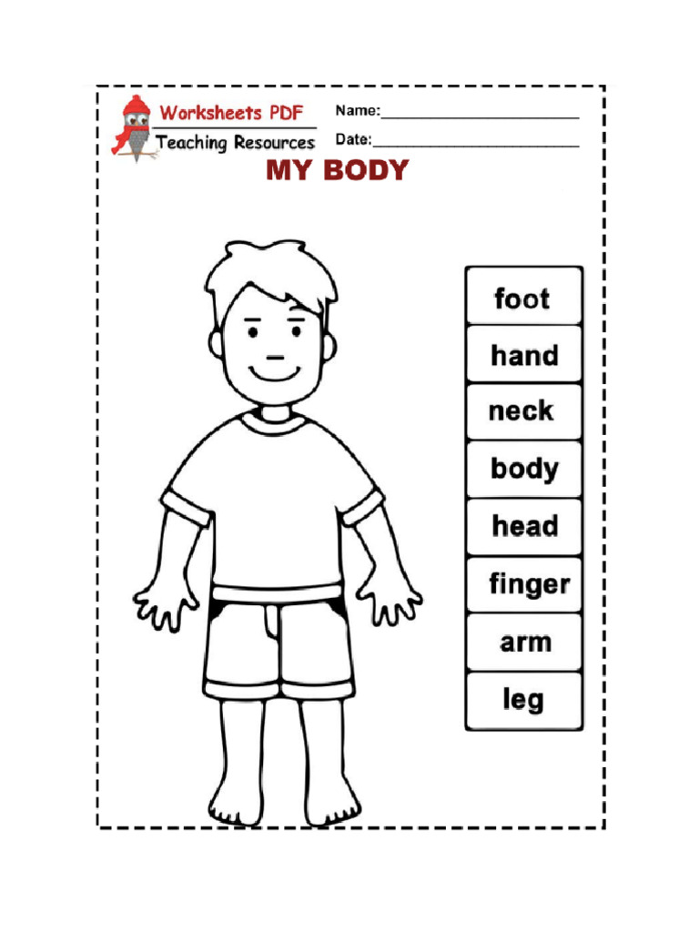body-parts-pdf