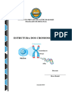 Estrutura Dos Cromossomos 12 Classe