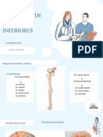 Irrigacion Arterial, Irrigacion Venosa-Miembros Inferiores