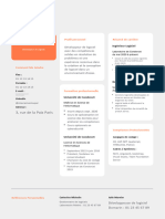 Orange Et Noir Professionnel CV