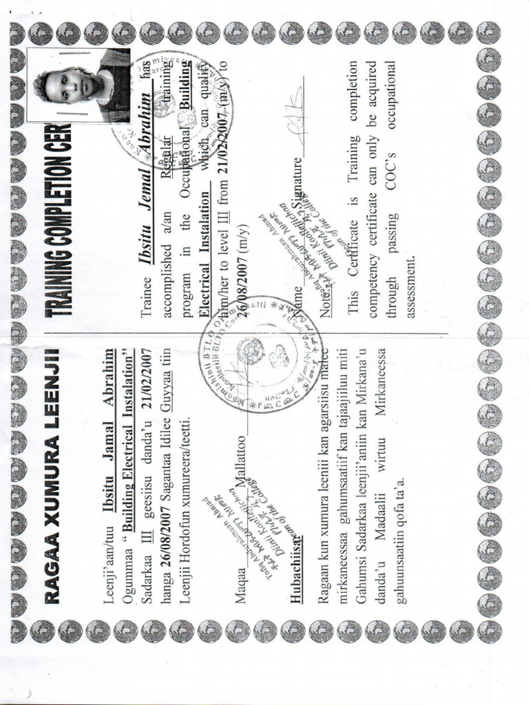 Scan 0024 | PDF