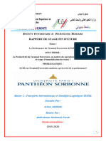 Memoire Master 2 Fin PDF