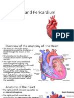The Heart and Pericardium