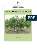 هرس فرم دهی در درختان جوان مرکبات - 20181020 - 133338