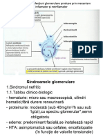 Glomerulopatii Generalităţi - Glomerulonefritele 24 Apr