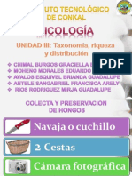 Unidad III