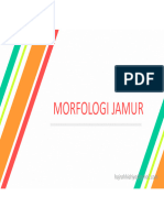 Morfologi Jamur Secara Umum-1