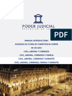 Manual Introductorio Juzgados de Competencia Común Final 2021