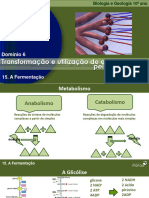 BioGeo10 Fermentacao