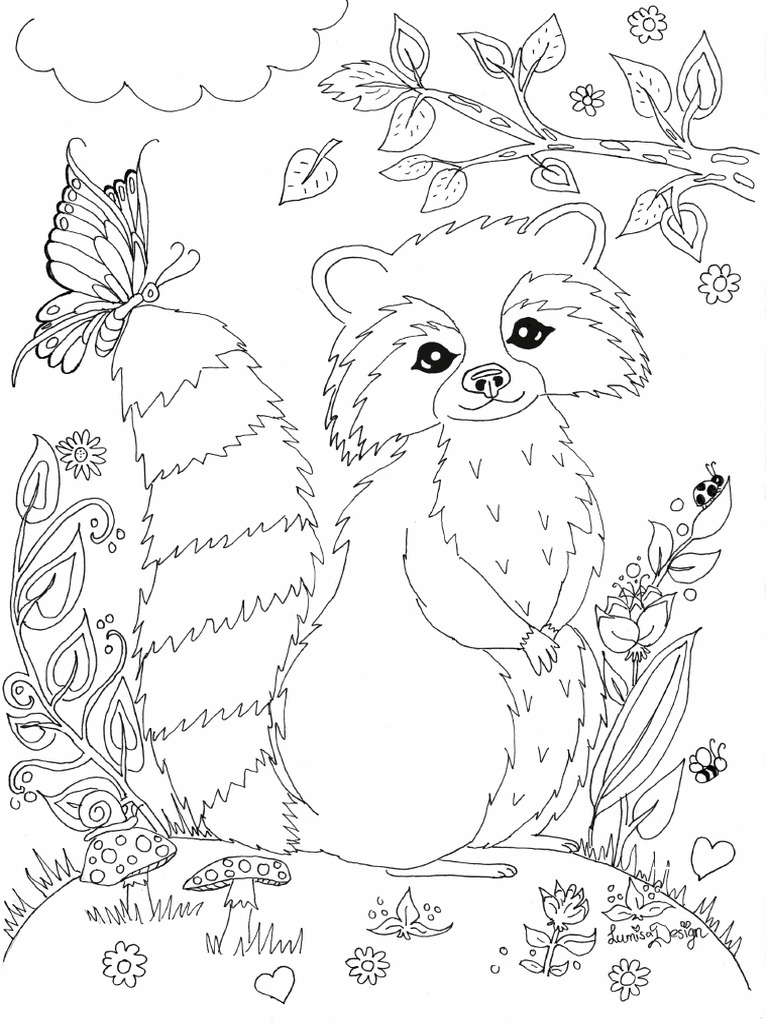 Raccoon Colouring Page | PDF