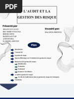 Cartographie des Risques : Guide Pratique | PDF | Risque | Audit