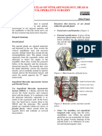 Parotidectomy 1