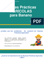 BPA en Banano Oct-2023