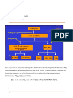 Cópia de Aines 2