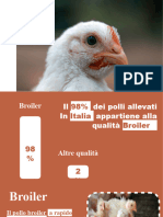 La verità sui polli broiler