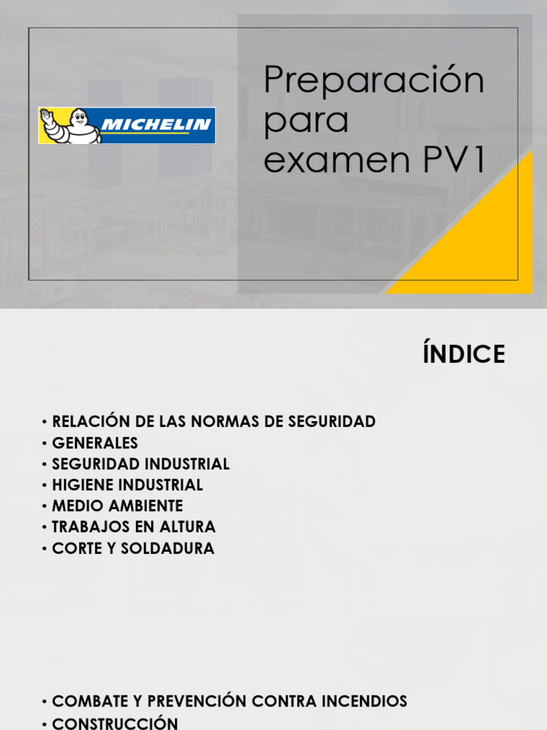 Preparação para Exame de Segurança PV1 | PDF