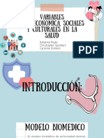 Variables Q Influyen en La Salud