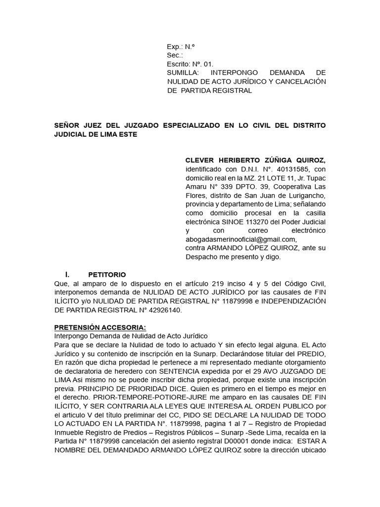 DEMANDA DE NULIDAD | PDF